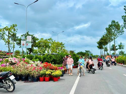 Nhộn nhịp chợ hoa xuân tại khu đô thị mới Phúc An Asuka với những ngày cận Tết